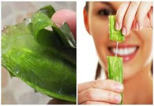 Elle frotte de l’aloe vera sur son visage. Ce qui s’est  
