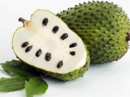 Le corossol, un fruit nombreuses bienfaits pour la santé