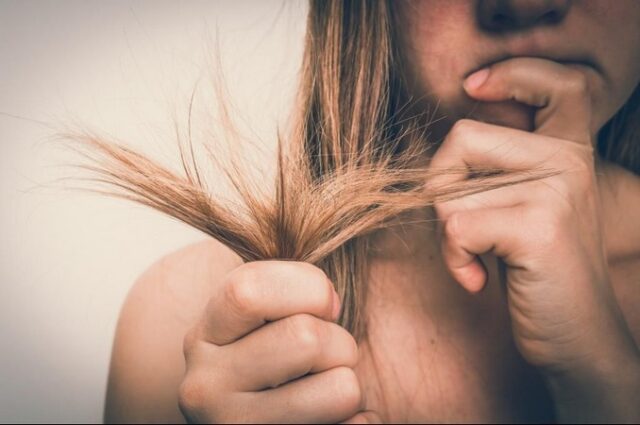 Soignez vos cheveux secs et cassants avec 5 solutions naturelles