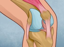 Un exercice de physiothérapie pour soulager la douleur au genou