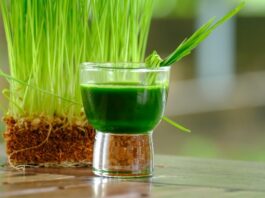Jus d'herbe de blé : un soin de beauté qui ralentit le processus de vieillissement