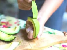 Ne plus jeter la peau de l’avocat ! Voici 6 utilisations efficaces Ne plus jeter la peau de l'avocat ! Voici 6 utilisations efficaces