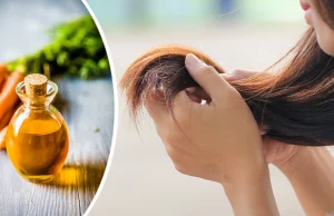 Quels sont les bienfaits de l’huile de carotte pour vos cheveux